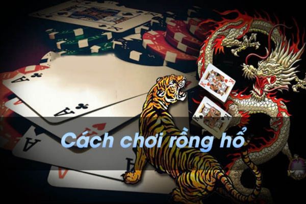 Giữ tâm lý ổn định – mẹo chơi rồng hổ giúp bạn chiến thắng